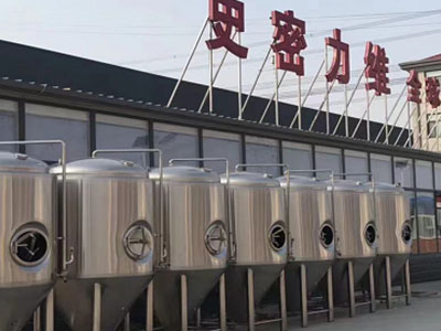 翰林镇精酿啤酒设备厂—市场规模与跨界新需求